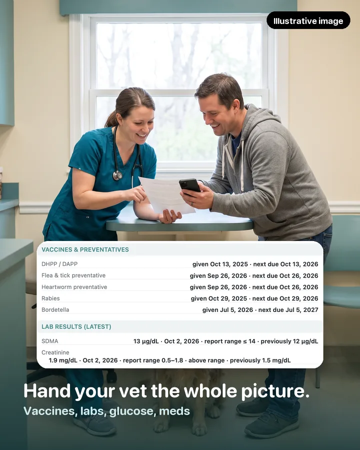A veterinarian and an owner reviewing a summary with a golden retriever, with the vaccines and lab results section of the vet summary